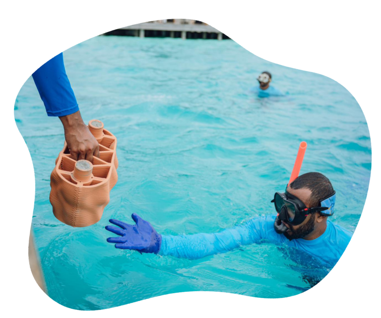 Anantara wave image