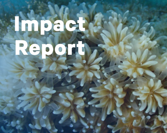 Impact Report (2)